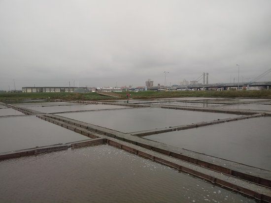 The Aveiro Salines